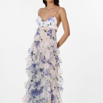 Alxia Ruffle Sheer Maxi Dresse