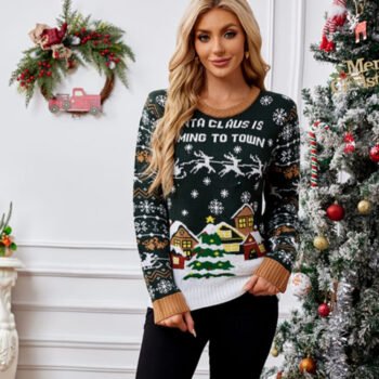 Crewneck Casual Embroidered Knit Sweater ¨C Winter Snow Scene