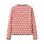 DM-20240912115154-001-1