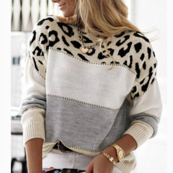Cheyenne â€?Loose sweater with leopard print
