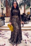 Brown Sheer Mesh Slim-Fit Dress